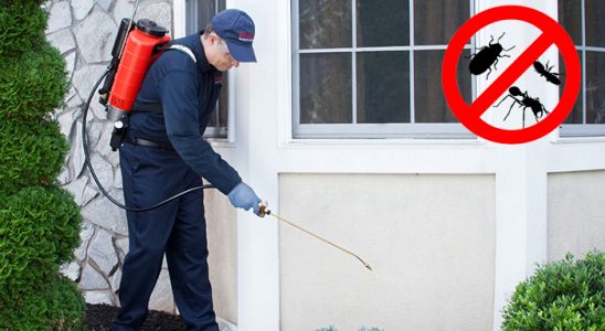 Kadirli Dezenfeksiyon böcek ilaçlama ve haşere kontrolü — ilaclama-tr.com